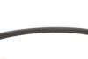 Купить Ремінь генератора Citroen C3/C4/Peugeot 208/308 1.2 THP 13- SNR NTN ka859.72 (фото4) подбор по VIN коду, цена 2611 грн.
