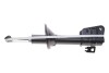 Купить Амортизатор (задний) Land Rover Freelander 98-06 (R) Solgy 211320 (фото1) подбор по VIN коду, цена 1921 грн.