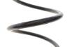 Купить Пружина (задня) Renault Laguna III 1.5dCi/2.0dCi/1.6 16V/2.0 16V 07-15 Solgy 212143 (фото3) подбор по VIN коду, цена 667 грн.