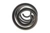Купить Пружина (задня) Nissan Qashqai 1.5dCi/1.6/dCi/2.0/dCi 07-14 Solgy 212147 (фото4) подбор по VIN коду, цена 871 грн.