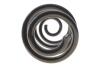 Купить Пружина (задня) Nissan Qashqai 1.5dCi/1.6/dCi/2.0/dCi 07-14 Solgy 212147 (фото5) подбор по VIN коду, цена 871 грн.