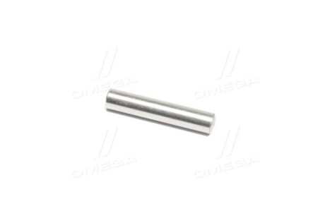 Втулка напрямного ланцюга ГРМ 3.2i G32D,2.7 XDI D27 SSANGYONG 000007008103