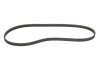 Купити Доріжковий ремінь Mitsubishi Pajero, Mazda 323 STARLINE sr 4pk1000 (фото1) підбір по VIN коду, ціна 271 грн.