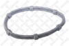 Купить Прокладка IN колектора Nissan Primastar 2.0cDi 01-/ Renault (K4M, F4P, F4R, K4J) 1.4 16V -03 STELLOX 11-26069-SX (фото1) подбор по VIN коду, цена 104 грн.