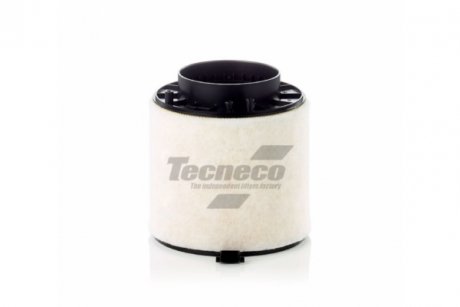 Купити Фільтр повітряний Audi A4/A5/Q5 3.0 TDI 07- TECNECO FILTERS ar8k01 (фото1) підбір по VIN коду, ціна 666 грн.