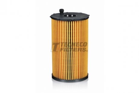 Фильтр масляный RANGE ROVER SPORT; PEUGEOT 407, 407 SW, 607 2.7D 06.04- TECNECO FILTERS ol010035-e