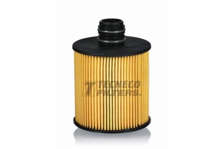 Фильтр масляный Fiat Ducato 11-/Doblo 1.6/2.0JTD/Opel Combo TECNECO FILTERS ol025083e