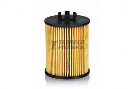 Фильтр масляный VW Golf/Jetta/Passat 1.6 Fsi 10/03- TECNECO FILTERS ol09706e