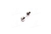 Купить Лампа софітні C5W SV8,5-8 35mm 24V 10W &lt;&gt; TEMPEST 24V10W_C5W SV8,5-8 3 (фото2) подбор по VIN коду, цена 13 грн.