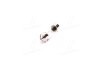 Купить Лампа софітні C5W SV8,5-8 35mm 24V 10W &lt;&gt; TEMPEST 24V10W_C5W SV8,5-8 3 (фото4) подбор по VIN коду, цена 13 грн.