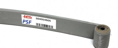 Рессора задняя коренная Iveco Daily 00- (1/24mm) (80/750/750) TES 50405460519 Z/T
