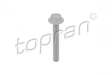Купить Болт TOPRAN / HANS PRIES 115806 (фото1) подбор по VIN коду, цена 205 грн.