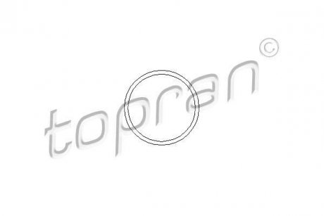 Прокладка Opel Corsa, Kadett, Vectra, Ascona, Astra, Combo, Zafira, Meriva TOPRAN / HANS PRIES 202 288 (фото1)