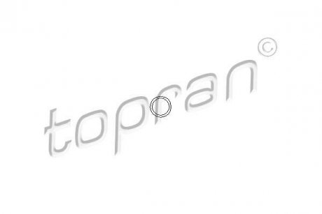 Кільце ущільнювальне болта клапанної кришки Opel TOPRAN / HANS PRIES 206 529