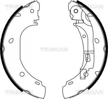 Комплект тормозных колодок Peugeot Boxer, Citroen Jumper, Fiat Ducato TRISCAN 810010007