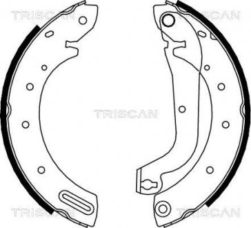 Купить Колодки тормозные задние барабанные TRISCAN 810014596 (фото1) подбор по VIN коду, цена 2052 грн.