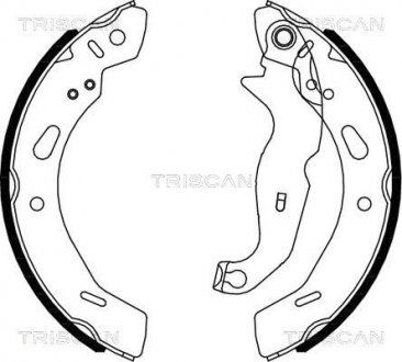 Купить Комплект тормозных колодок Ford Fiesta TRISCAN 810016013 (фото1) подбор по VIN коду, цена 1383 грн.