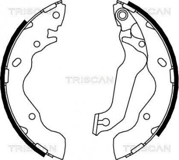 Комплект гальмівних колодок TRISCAN 810043013