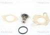 Купити Термостат Ford Maverick II 2.4 93-98 / Nissan Primera, Sunny, X-trail 83-01 / Renault Koleos 2.5 07-13 TRISCAN 86201782 (фото1) підбір по VIN коду, ціна 431 грн.