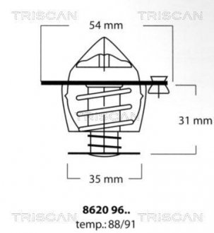 Термостат TRISCAN 8620 9691