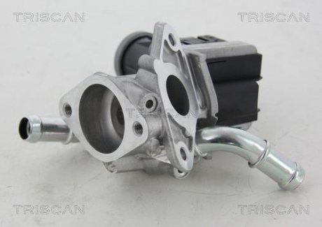 Клапан рецеркуляции отработавших газов Peugeot Boxer, Citroen Jumper TRISCAN 8813 16036