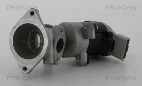 Клапан рецеркуляції відпрацьованих газів Land Rover Discovery, Range Rover TRISCAN 8813 17020