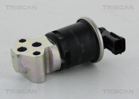 Купить Клапан рецеркуляции отработавших газов Daewoo Matiz TRISCAN 8813 21008 (фото1) подбор по VIN коду, цена 2422 грн.
