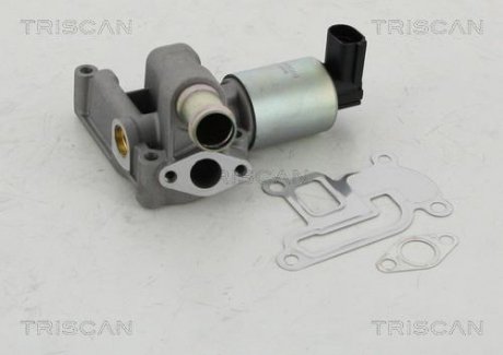 Клапан рецеркуляції відпрацьованих газів Opel Corsa, Meriva, Astra, Combo TRISCAN 881324003