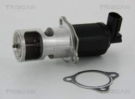 Клапан рецеркуляции отработавших газов Opel Vivaro, Renault Espace, Master, Laguna TRISCAN 8813 24055