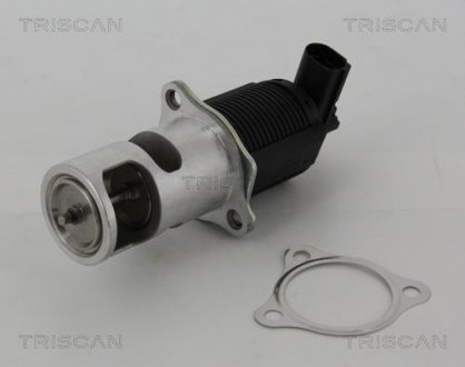 Клапан рецеркуляції відпрацьованих газів Opel Vivaro, Renault Espace, Master, Laguna TRISCAN 8813 25005