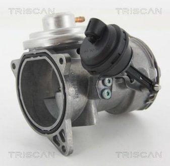 Клапан EGR VAG Touareg 2.5 R5 TDI 03- TRISCAN 881329070