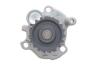 Купити Комплект ГРМ Audi A3/A4/A6/Skoda Octavia/VW Golf V/Passat/Touran 2.0TDI 03- (30x141z) Volkswagen Passat, Audi A3, Volkswagen Touran, Golf, Audi A6, Seat Altea, Skoda Octavia, Audi A4, Seat Toledo, Volkswagen Jetta, Seat Leon TRUCKTEC 07.12.027 (фото16) підбір по VIN коду, ціна 6739 грн.