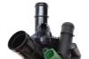 Купити Термостат VW Passat 1.6 FSI 05-08 Volkswagen Polo, Audi A3, Volkswagen Golf, Bora, Seat Cordoba, Skoda Octavia, Volkswagen Touran, Passat TRUCKTEC 07.19.106 (фото3) підбір по VIN коду, ціна 2498 грн.