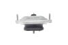 Купити Подушка КПП Audi A4/A6/A7/Q5 2.0-4.2 07-18 TRUCKTEC 07.25.029 (фото5) підбір по VIN коду, ціна 1423 грн.