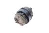 Купити Помпа води BMW 1 (F20/21)/3 (F30/F80) 15- B58/S55 (електричний) TRUCKTEC 08.19.284 (фото4) підбір по VIN коду, ціна 6054 грн.