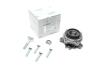Купити Підшипник маточини (задньої) BMW X3 (G01/F97)/X4 (G02/F98) 19- B46/B47/B48/B57/B58 TRUCKTEC 08.32.208 (фото1) підбір по VIN коду, ціна 5677 грн.