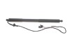 Купити Амортизатор кришки багажника (R) BMW X5 (E70) 06-13 (електр.) BMW X5 TRUCKTEC 08.63.046 (фото1) підбір по VIN коду, ціна 7695 грн.
