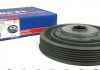 Купить Шкив коленвала Renault Kangoo 1.5dCi 01- (6PK) Renault Megane, Kangoo, Nissan Kubistar, Renault Twingo, Dacia Duster, Renault Grand Scenic, Scenic, Dacia Logan, Renault Clio, Logan, Nissan Qashqai UCEL 1002 (фото1) подбор по VIN коду, цена 1151 грн.