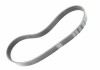 Купить Пас поликлиновый Volkswagen Golf, Vento, Seat Cordoba, Ibiza, Skoda Octavia, Fabia, Volkswagen Polo, Audi A2, Volkswagen Caddy, Skoda Roomster, Seat Altea VAG 036145933AG (фото1) подбор по VIN коду, цена 1297 грн.