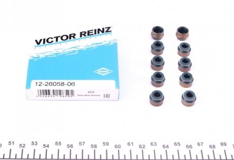 Сальник клапана (впуск/выпуск) VW T5 2.5 TDI 03-10 (Комплект) VICTOR REINZ 12-26058-06
