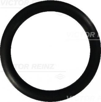 Уплотнительное кольцо VICTOR REINZ 407644900
